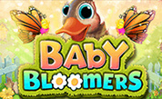 Baby Bloomers.jpg